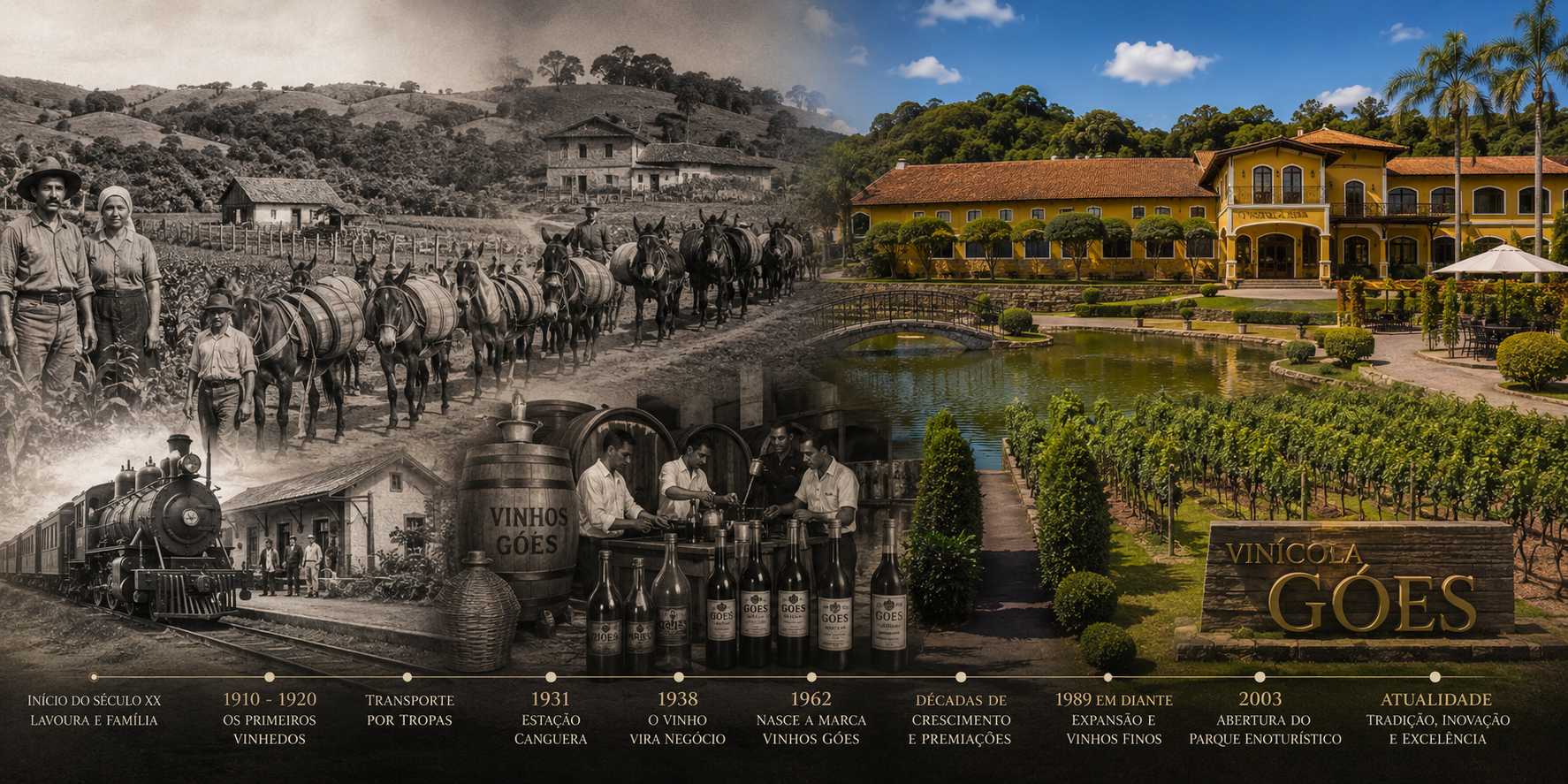 Qual a historia da vinicola goes